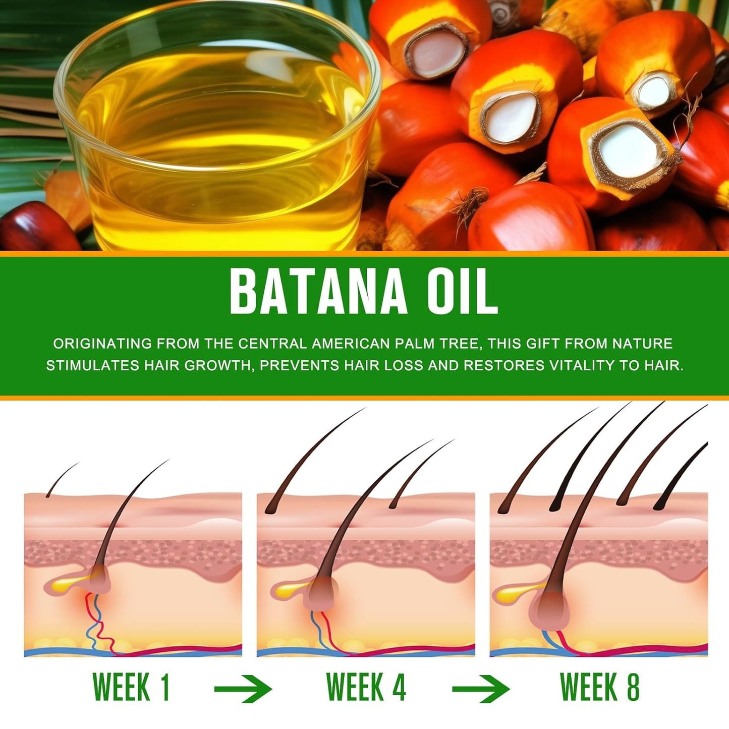 Aceite de Batana | Batana Oil | 15 ml
